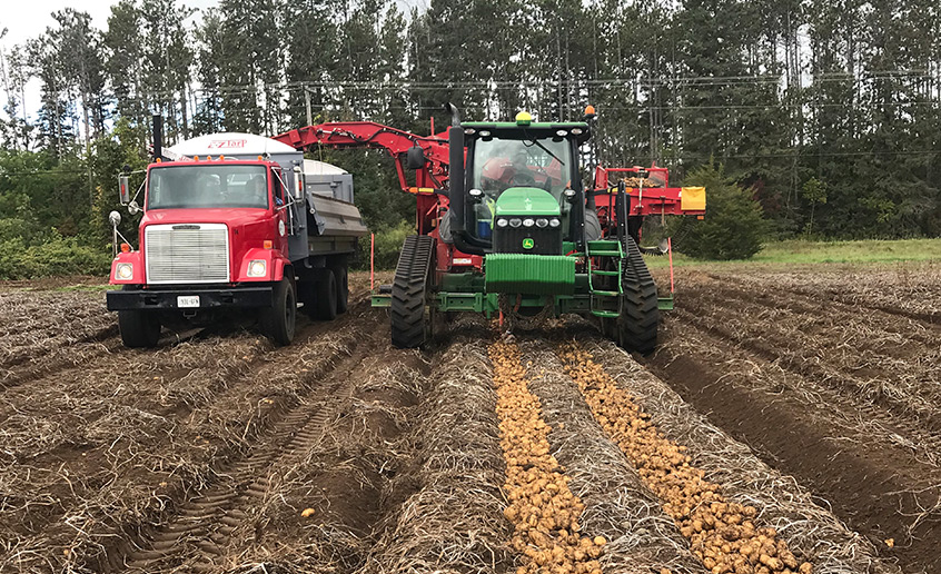 Sunrise Potato Storage LTD.